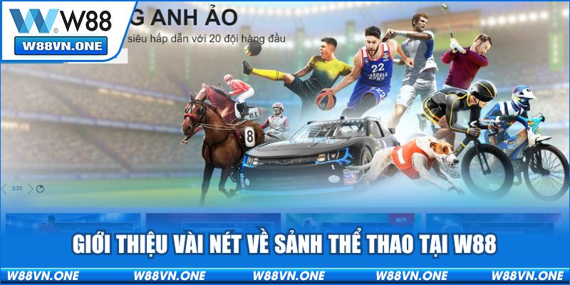 Giới thiệu vài nét về sảnh thể thao tại W88